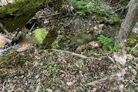 Land for sale in Sevier County, Tennessee