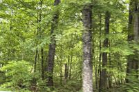 Undeveloped Land for sale in Cumberland County, Tennessee