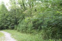 Undeveloped Land for sale in Fentress County, Tennessee