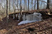 Undeveloped Land for sale in Putnam County, Tennessee