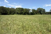 Land for sale in Loudon County, Tennessee