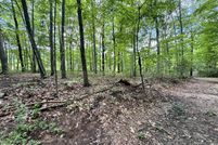 Timberland Property for sale in Fentress County, Tennessee