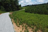 Land for sale in Monroe County, Tennessee