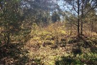 Undeveloped Land for sale in Knox County, Tennessee