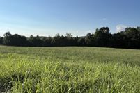 Farm and Ranch for sale in Pickett County, Tennessee