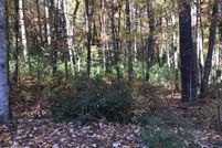 Undeveloped Land for sale in Cumberland County, Tennessee
