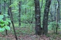 Land for sale in Cumberland County, Tennessee