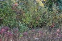 Land for sale in Loudon County, Tennessee