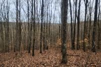 Land for sale in Roane County, Tennessee