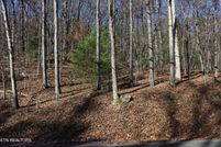Undeveloped Land for sale in Roane County, Tennessee
