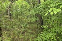 Land for sale in Cumberland County, Tennessee