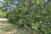 Undeveloped Land for sale in Claiborne County, Tennessee