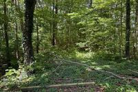 Land for sale in Sevier County, Tennessee