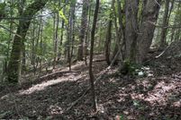 Homesite for sale in Cocke County, Tennessee