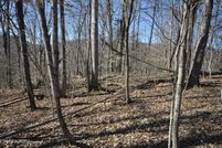 Undeveloped Land for sale in Union County, Tennessee
