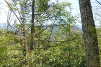 Land for sale in Cocke County, Tennessee