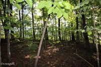 Land for sale in Blount County, Tennessee