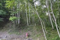 Land for sale in DeKalb County, Tennessee