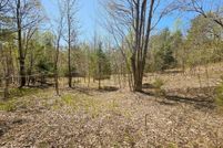 Land for sale in Claiborne County, Tennessee