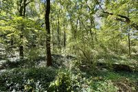 Timberland Property for sale in Monroe County, Tennessee
