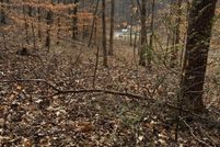 Land for sale in Blount County, Tennessee