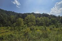 Undeveloped Land for sale in Hawkins County, Tennessee