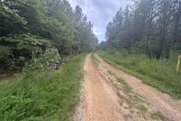 Undeveloped Land for sale in Morgan County, Tennessee