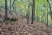 Timberland Property for sale in Claiborne County, Tennessee