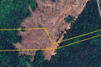 Land for sale in Lee County, Alabama