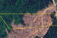 Undeveloped Land for sale in Lee County, Alabama