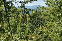 Land for sale in Somerset County, Maine