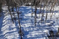 Land for sale in Oxford County, Maine