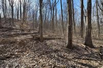 Undeveloped Land for sale in Fleming County, Kentucky