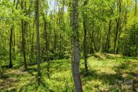 Farm and Ranch for sale in Buncombe County, North Carolina