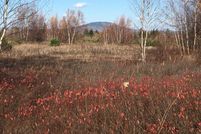 Land for sale in Hancock County, Maine