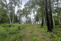 Undeveloped Land for sale in Washington County, Maine