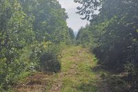 Land for sale in Penobscot County, Maine