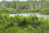 Timberland Property for sale in Washington County, Maine