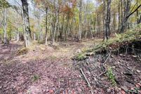 Homesite for sale in Preston County, West Virginia