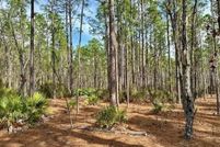 Land for sale in Gilchrist County, Florida