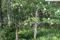 Land for sale in Ashe County, North Carolina