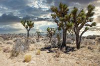 Farm and Ranch for sale in San Bernardino County, California