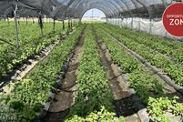 Land for sale in Riverside County, California