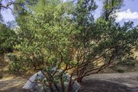 Land for sale in Riverside County, California