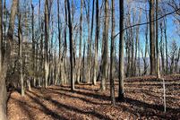 Undeveloped Land for sale in Monroe County, West Virginia