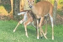 Farm and Ranch for sale in Pike County, Pennsylvania