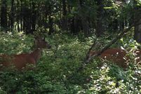 Land for sale in Carbon County, Pennsylvania