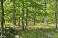 Undeveloped Land for sale in Pike County, Pennsylvania