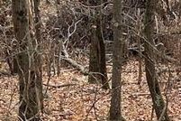 Farm and Ranch for sale in Wayne County, Pennsylvania