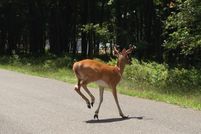 Farm and Ranch for sale in Carbon County, Pennsylvania